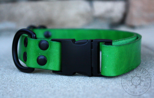 Green & Black Puppy Collar