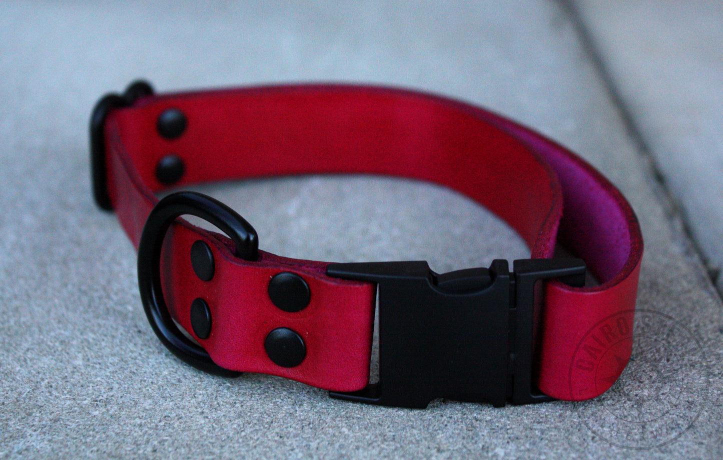 Red & Black Puppy Collar