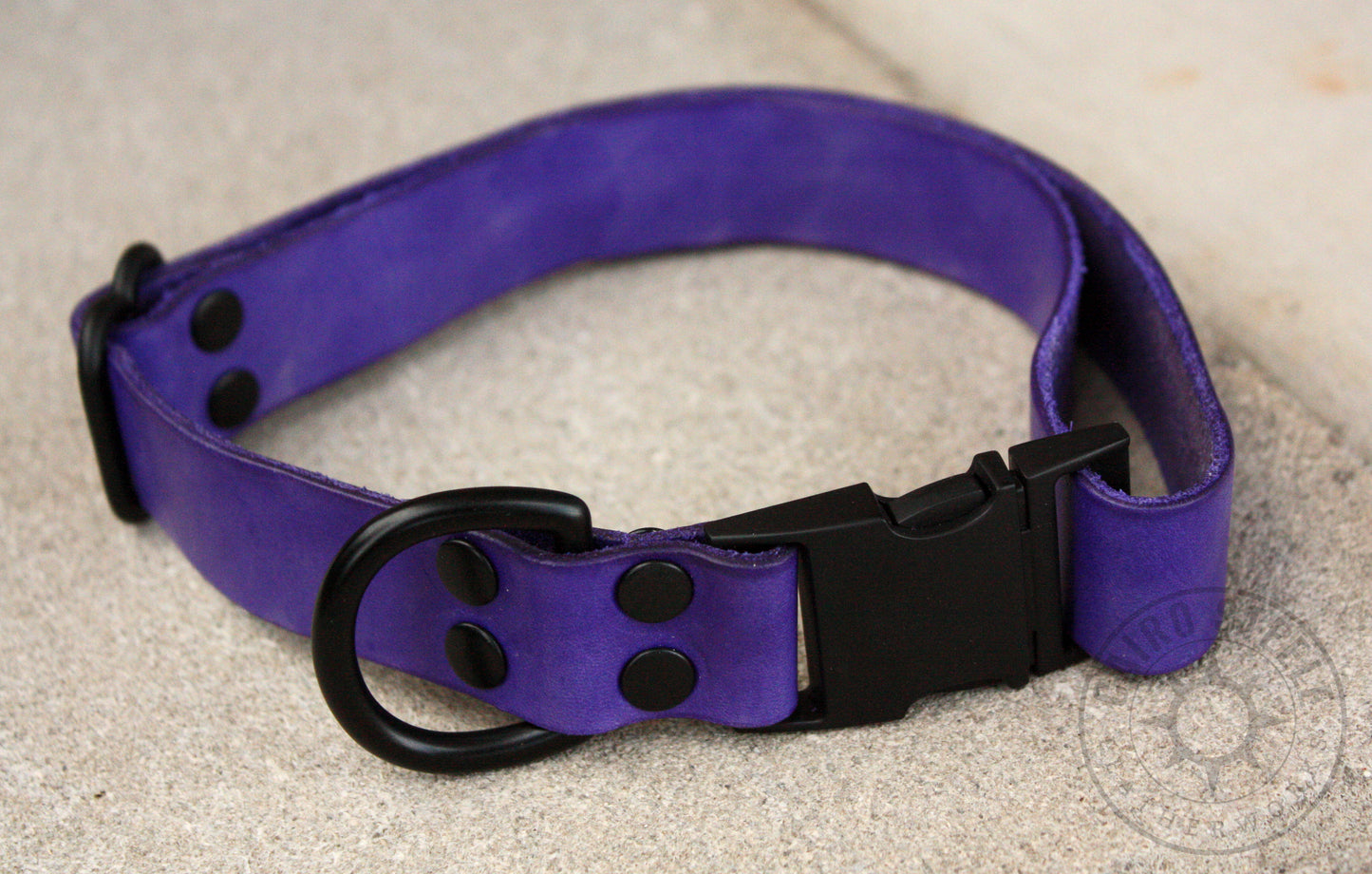 Violet & Black Puppy Collar