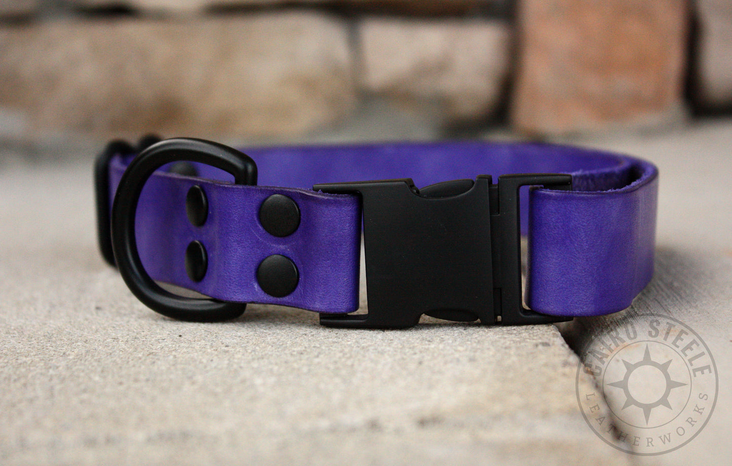 Violet & Black Puppy Collar