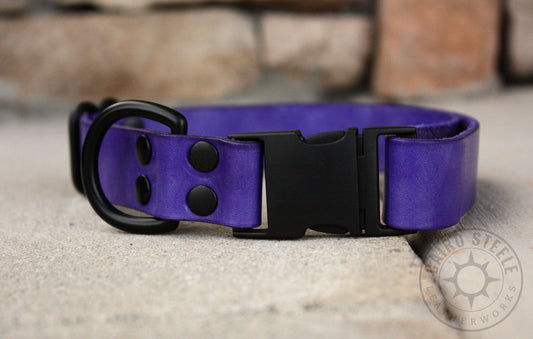 Violet & Black Puppy Collar