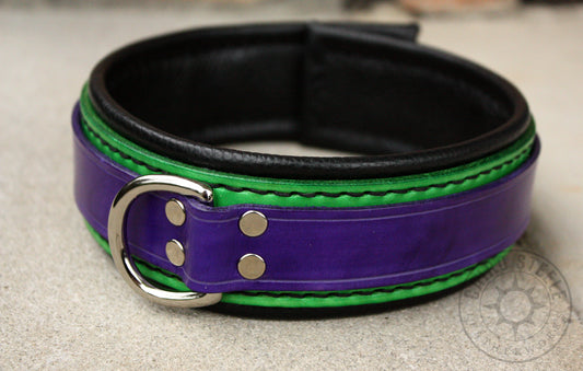 Purple and Green Collar (Discounted)